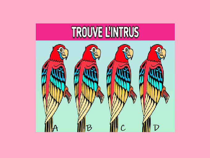 1TRUS N°1.png (46 KB)