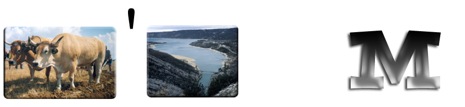 R&eacute;bus N&deg;7 Bis.png (189 KB)