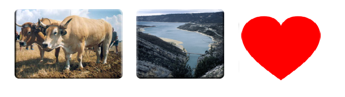 R&eacute;bus N&deg;7.png (159 KB)